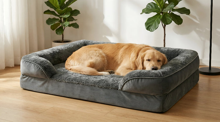 Why Comfortable Pet Beds Matter Most