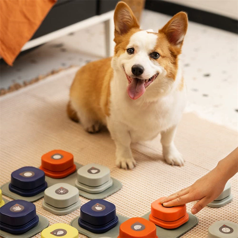 Enhance Your Pet’s Communication with Our Recordable Talking Button Toy