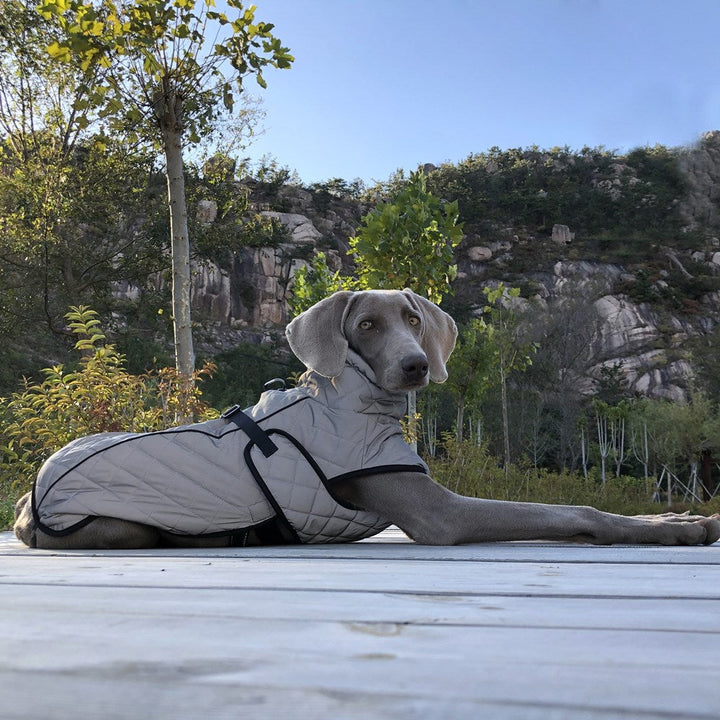 Elevate Your Pet's Safety with the Reflective Full Body Tactical Pet Jacket