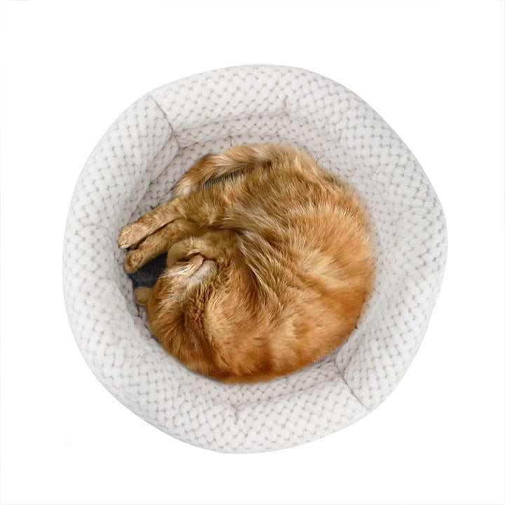 Discover the Comfort of the Semi Closed Round Ice Velvet Pet Sleep Bed