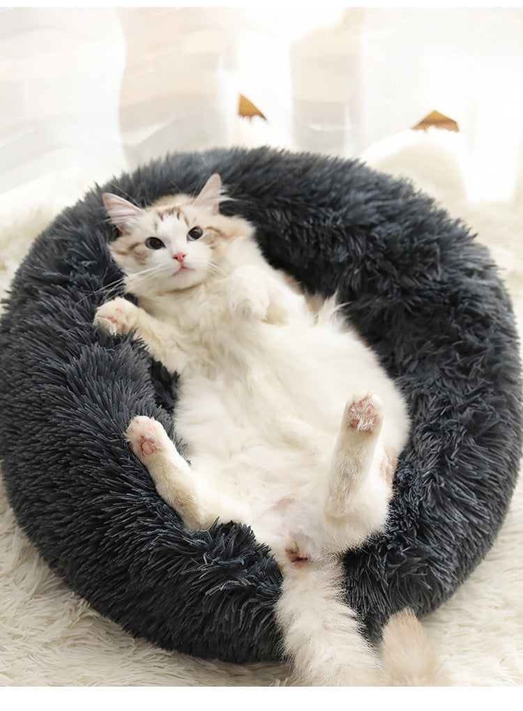 e5f38752127f8a4460579a929b8972b4